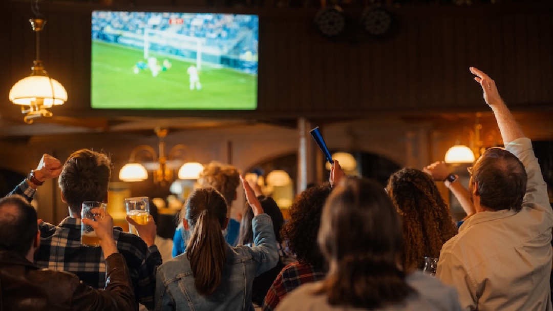 images/fans_in_bar_watching_game.jpg